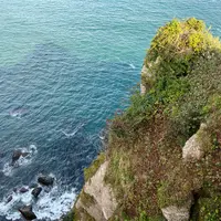亀岩の写真・動画_image_1649576