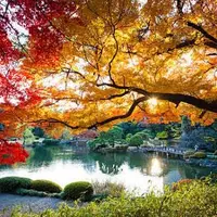 有栖川宮記念公園の写真・動画_image_165059