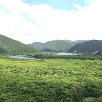 マングローブカヌーツーリングの写真・動画_image_165328