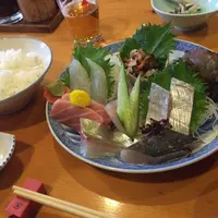 魚佐の写真・動画_image_165565
