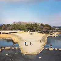 鴨川デルタの写真・動画_image_165641