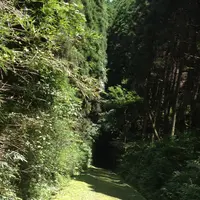 旧国鉄宮原線遊歩道の写真・動画_image_165843