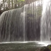 鍋ヶ滝の写真・動画_image_165847