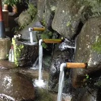 立岩水源公園の写真・動画_image_165851