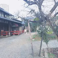 楽風の写真・動画_image_165875