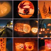 雪あかりの路の写真・動画_image_165931