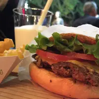 シェイクシャック 外苑いちょう並木店 （SHAKE SHACK）の写真・動画_image_165969
