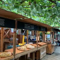 小松沢レジャー農園の写真・動画_image_1662025