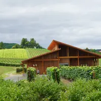 ジンギスカン白樺 富良野店の写真・動画_image_1662766