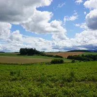 パッチワークの路の写真・動画_image_1662933