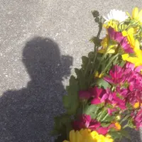 ひめゆりの塔の写真・動画_image_166746