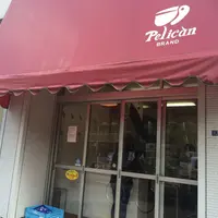 パンのペリカンの写真・動画_image_166973