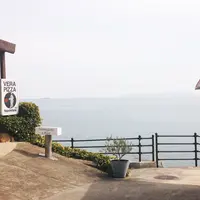 SAKURAGUMI （サクラグミ）の写真・動画_image_167017