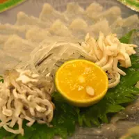 料理旅館ひさだの写真・動画_image_167170