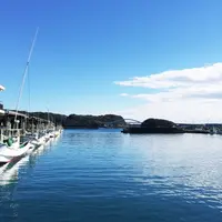 大島の写真・動画_image_167374