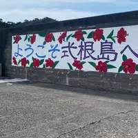 式根島港の写真・動画_image_1675223