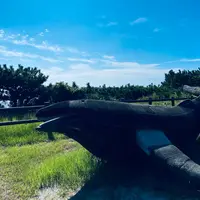 小の口公園の写真・動画_image_1675262