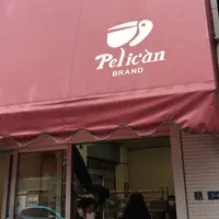 パンのペリカンの写真・動画_image_167558