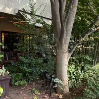 ウエスト青山ガーデン（WEST AOYAMA GARDEN）の写真・動画_image_1676686