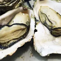 焼がきのはやしの写真・動画_image_167985