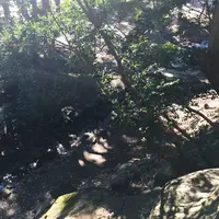 芝公園の写真・動画_image_168174