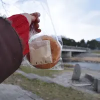 ひつじの写真・動画_image_168280