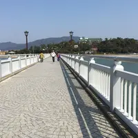 竹島の写真・動画_image_168477