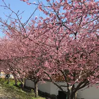 畑毛せせらぎ公園の写真・動画_image_168494