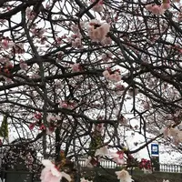 渚親水公園・ムーンテラスの写真・動画_image_168497