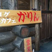 ログカフェかりんの写真・動画_image_168880