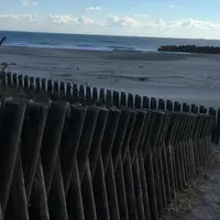 米津の浜の写真・動画_image_168883