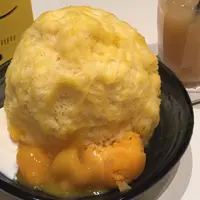 チアーズの写真・動画_image_168943