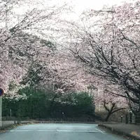 伊豆高原駅 伊豆急行の写真・動画_image_169205