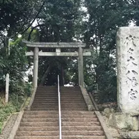 代々木八幡宮の写真・動画_image_169322