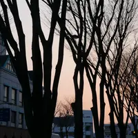 玉宮町の写真・動画_image_169349