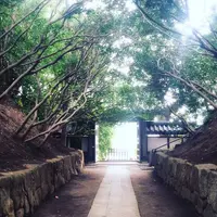 徳雄山 建功寺の写真・動画_image_169657