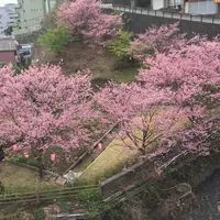 熱川温泉の写真・動画_image_170324