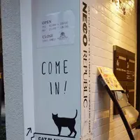 ネコリパブリック東京 お茶の水店の写真・動画_image_170431