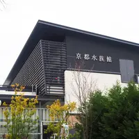 京都水族館の写真・動画_image_170613