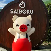 レストラン サイボクの写真・動画_image_1711993