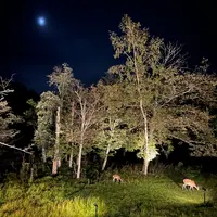 カムイの湯 ラビスタ阿寒川の写真・動画_image_1712005