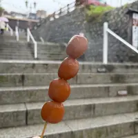 石段玉こんにゃくの写真・動画_image_1712517