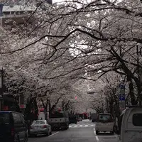 PRONTO ILBAR 八重洲さくら通り店 (プロント イルバール)の写真・動画_image_171279