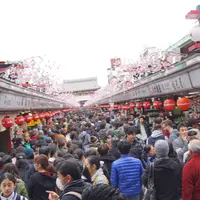 雷門の写真・動画_image_171362