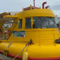 水中観光船「にじいろさかな号」の写真・動画_image_1714907