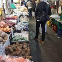 鎌倉市農協連即売所の写真・動画_image_171503