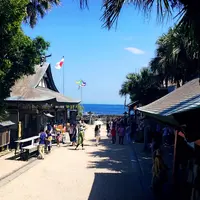 青島神社の写真・動画_image_171525
