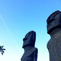 サンメッセ日南の写真・動画_image_171528