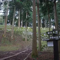 七尾城山の写真・動画_image_171553