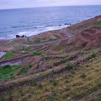 白米千枚田の写真・動画_image_171555